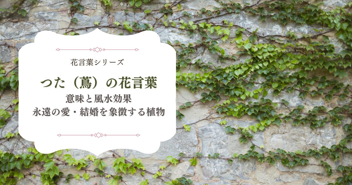 つた（蔦）の花言葉は？意味と風水効果｜永遠の愛・結婚を象徴する植物 - ほわおぽblog